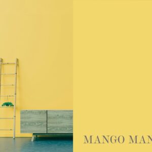 Gebenna Vægmaling: Mango Mania Farveprøve