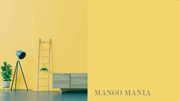 Gebenna Vægmaling: Mango Mania Farveprøve